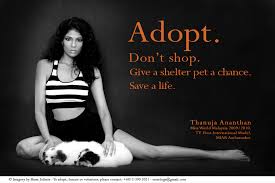 Most of the animals housed in shelters are very domesticated and require very little time to adapt to a new home. Why Should Malaysians Adopt Their Dogs And Cats Instead Of Buying