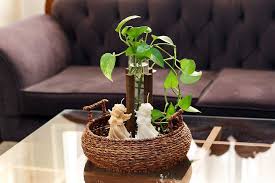 ‫سبد میوه گرد دسته دار حصیری - گروه تولیدی وودمن تولیدکننده انواع محصولات  حصیربافت و تمام چوب خانه و آشپزخانه‬‎