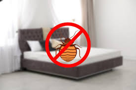 This hotel is 1.3 mi (2 km) from angel stadium of anaheim and 2.4 mi (3.9 km) from anaheim convention center. Bed Bugs Zircon Pest Solutions