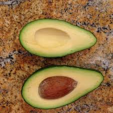 The florida hass is a separate variety from the california hass. Fuerte Avocado Growing In Homestead Florida