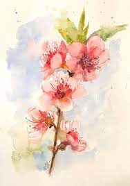 By Valerie Mafrica Aquarela Floral Aquarela Artes Desenhos