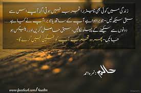 Pin By Alizeekhan On All About Novels Quotes From Novels Photo Quotes Urdu Novels