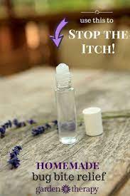 Pin On Natural Bug Repellent