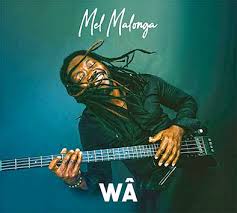 Musique Wa Le Deuxieme Album De Mel Malonga Bientot Sur Le Marche Lasemaineafricaine
