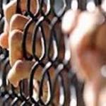 القبض على مدير شركة إلحاق