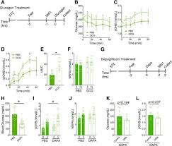 Maybe you would like to learn more about one of these? The Limited Role Of Glucagon For Ketogenesis During Fasting Or In Response To Sglt2 Inhibition Abstract Europe Pmc
