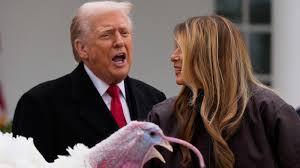 Trump's turkey pardoning turns political, but Waddle and Gobble are spared  - ABC News