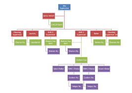 Zara Organizational Chart Template Eye Catching Zara