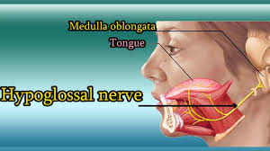 In conventional vagus nerve stimulation, a device is surgically implanted under the skin on your chest, and a wire is threaded under your skin connecting the device to the left vagus nerve. Hypoglossal Nerve Test Xii Cranial Nerve Functions And Examination Youtube