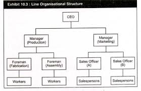 common organizational structures dr vidya hattangadi