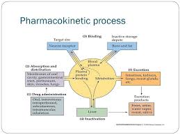 Joshua Watson Coe 8703 Psychopharmacology Pharmacology Nursing Pharmacology Pharmacy School