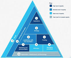 Mckinsey Company Organizational Capacity Assessment Tool Business Analysis Assessment Tools Change Management