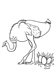 Free Ostrich Coloring Page Animal Coloring Pages Coloring Pages Free Coloring Pages