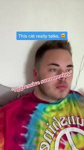 The Difficult Life of Cooter the Cat