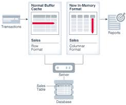 Introduction To Oracle Database In Memory