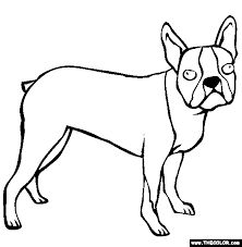 Valentine's day coloring pages from hallmark. Boston Terrier Coloring Page Free Boston Terrier Online Coloring Puppy Coloring Pages Boston Terrier Boston Terrier Puppy