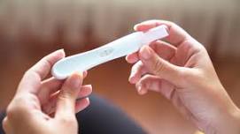 Health and Wellness | Pregnancy Talk