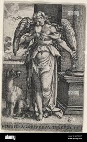 Image result for Gnidia inconspicua