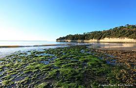 Plage De L Arneche A Meschers Sur Gironde Natural Landmarks Landmarks Nature