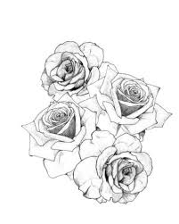 Here is a step by step way to do it to make it very simple. Flower Tattoo Drawings At Paintingvalley Com Explore Collection Of Flower Tattoo Drawings