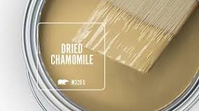 DRIED CHAMOMILE M320-5 | Behr Paint Colors