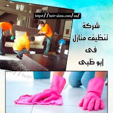 شركة تنظيف منازل في أبوظبي Clean House House Abu Dhabi