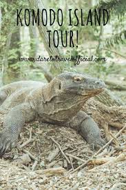 Komodo Tour In Flores 4d 3n A Complete Guide Komodo Island Tour Island Tour Peru Travel Guide