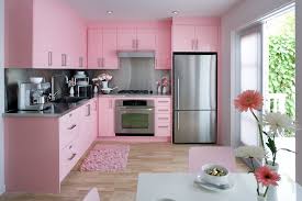 Just add millennial pink accessories. Hot Pink Kitchen Appliances Home Design Maintaining Pink Kitchen Appliances