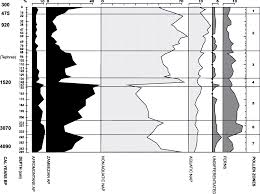 Image result for Kohautia microflora