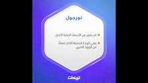 المطبخ التركي بالعربي أسماء الشريف. Ø£Ø³Ù…Ø§Ø¡ Ø¨Ù†Ø§Øª ØªØ±ÙƒÙŠØ© 2020 ØªØ±ÙŠÙ†Ø¯Ø§Øª