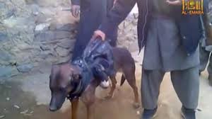 Maybe you would like to learn more about one of these? Skylo Toy Amerikanikoy Stratoy Kratoyn Aixmalwto Oi Talimpan