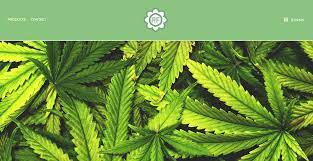 We did not find results for: Weed Entrepreneurs Push Boundaries Of Vermont S Legalization Law Vtdigger