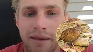 Survivor yarışmacısı nesli tükenmekte olan kuşu yedi