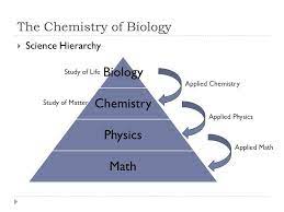 Biology Of Life Biology Physics Chemistry