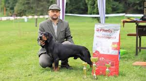 Image result for slovenský kopov