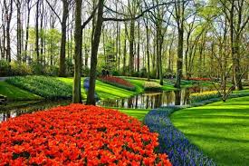 However, with the aid of computer software, it is now possible for beginners to make landscape designs used to be done only by professionals. 5 Best Garden Design Software For Pc And Mac
