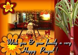 Celebrate The Traditional Pongal Happy Pongal Happy Pongal Wishes Happy