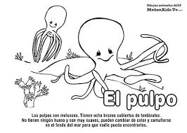 Vídeo que explica las características de los principales instrumentos de cuerda y donde podrán oir como suena cada uno de los instrumentos musicales. Pulpo Pintas Animales Del Mar Dibujos Colorear Mar Para Colorear Animales Marinos Pulpos Dibujo