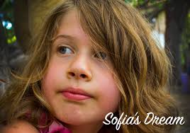 About the Foundation