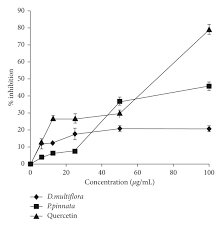 Image result for Dissotis multiflora