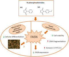 Valdir pasa mp3 | baixar musica from i.ytimg.com check spelling or type a new query. N Phenylmaleimides Affect Adipogenesis And Present Antitumor Activity Through Reduction Of Fasn Expression Sciencedirect