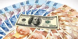 Dolar / türk lirası kar/zarar. Yastik Altindan Cikarmayin 100 Lira 11 Dolar Ediyor Boldmedya