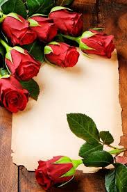 flower power red roses rose frame beautiful rose flowers