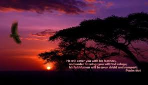 Bible Verse Desktop Wallpapers Wallpaper Cave Support us by sharing the content, upvoting wallpapers on the page or sending your own background pictures. bible verse desktop wallpapers