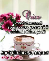 Pin By Eugenia Ungureanu On Flori Peisaje Mesaje In 2020 Glassware Good Morning Mugs