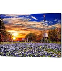 Image result for Bluebonnet Blue 1958 Plymouth