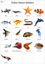 Fish Names Facts Pictures Videos Charts Ira Parenting Flashcards For Kids Fish Ponds Fish