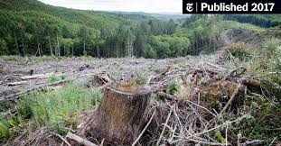 Only left in stock people are viewing this right now. How Far To The Next Forest A New Way To Measure Deforestation The New York Times