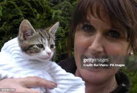 37 Cat Wash Machine Stock Photos, High-Res Pictures, and Images