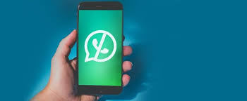 Check spelling or type a new query. Whatsapp News Today Archives Breaking News Beyond